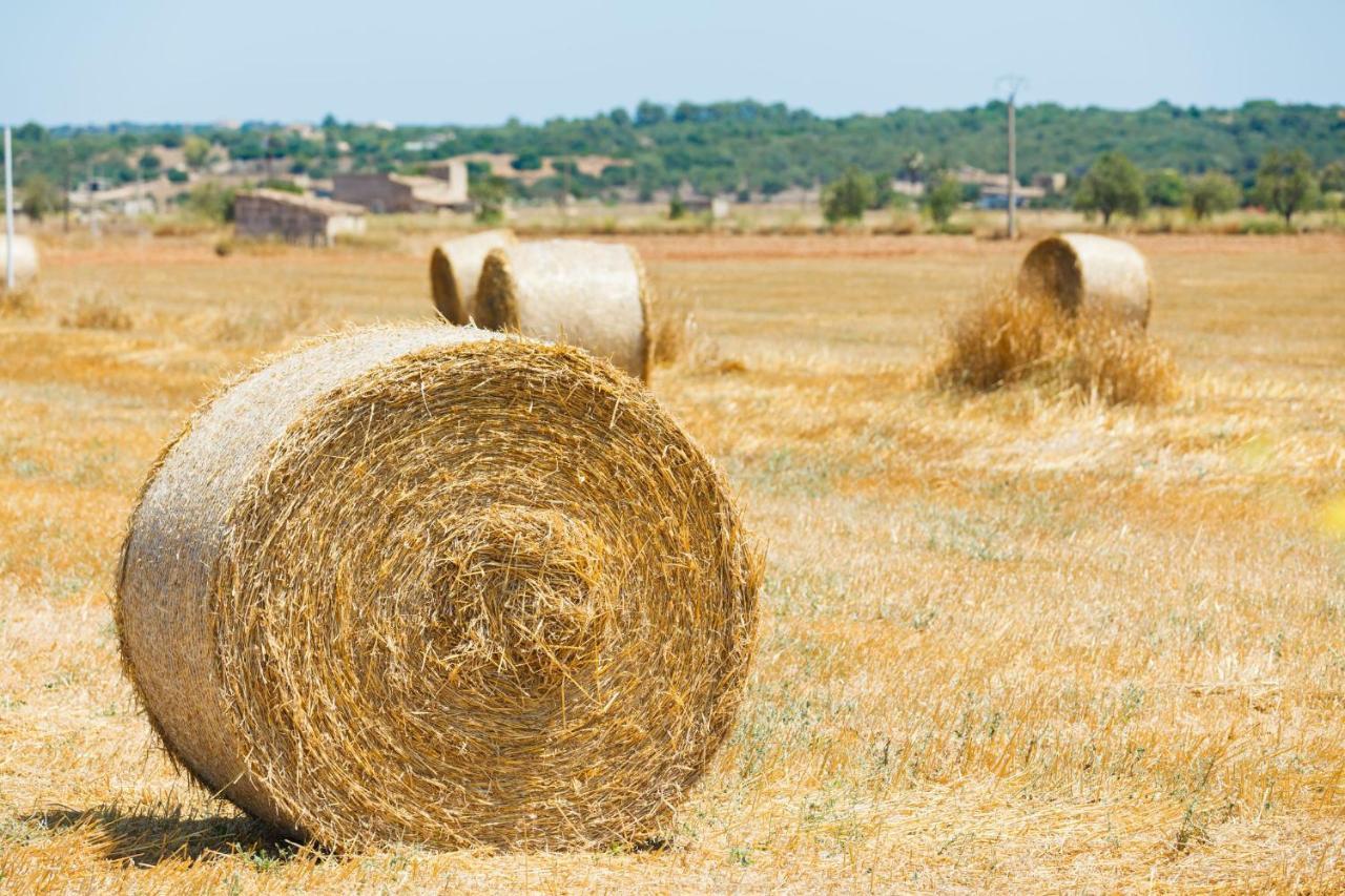 184 Finca Estret Etv3644 By Mallorca Charme Santa Margalida Exteriér fotografie